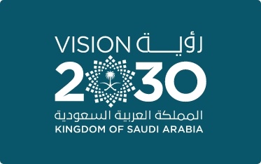 We seek to aid and assist the government in its effort to realize His royal highness the crown Prince's vision for the Kingdom of Saudi Arabia. 